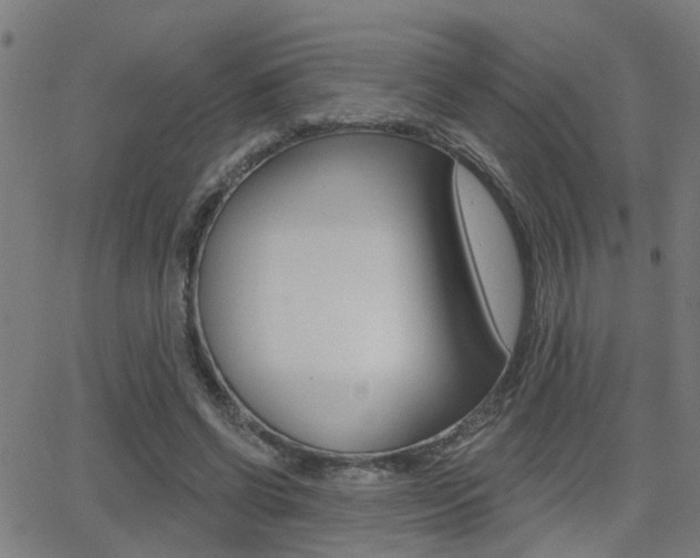 X0000062910542200601131109