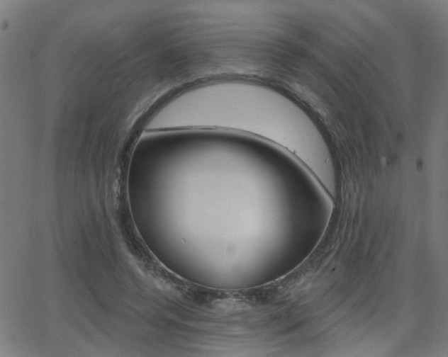 X0000062910544200601131109