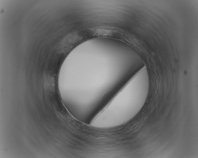 X0000062910551200601131109