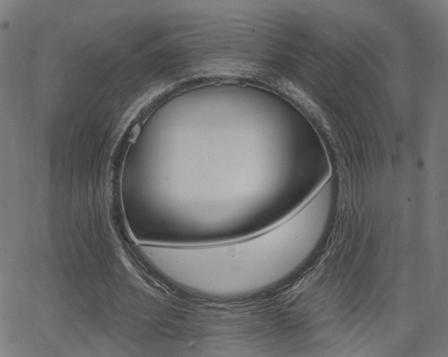 X0000062910580200601131108