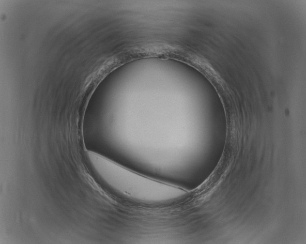 X0000062910585200601131108