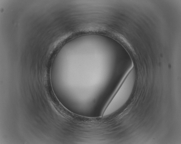 X0000062910588200601131108