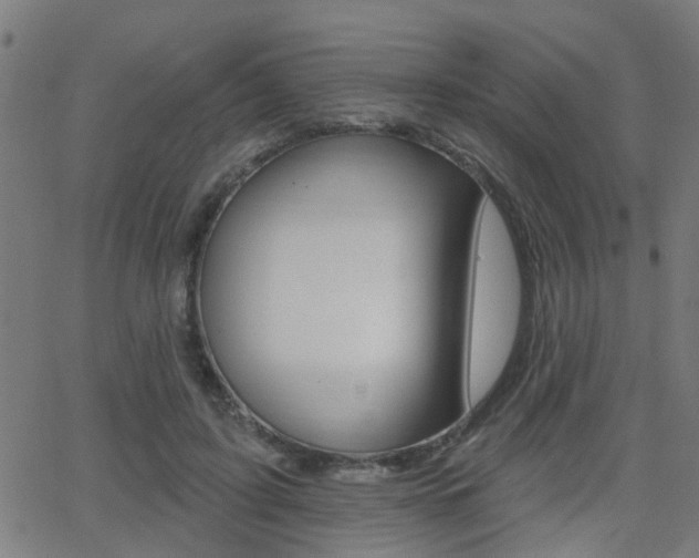 X0000062910595200601131108