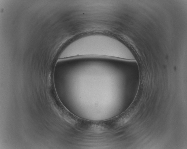 X0000062910596200601131108