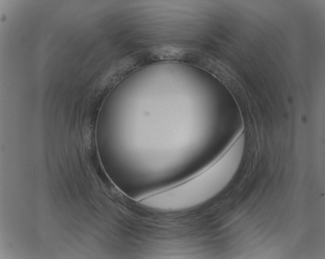 X0000062910604200601131108