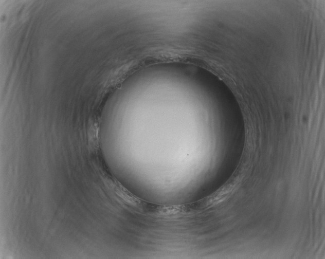 X0000062910624200601131108