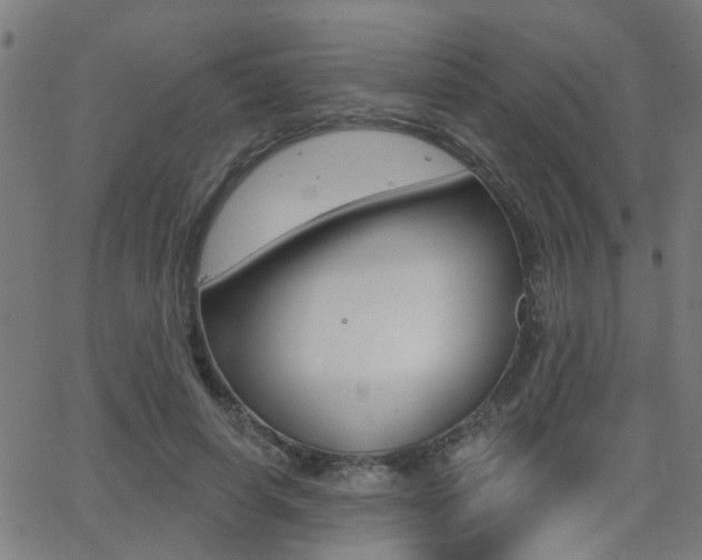 X0000062910642200601131107