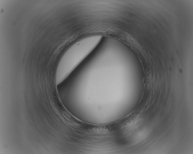 X0000062910644200601131107