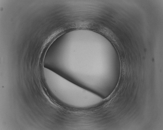 X0000062910674200601131107