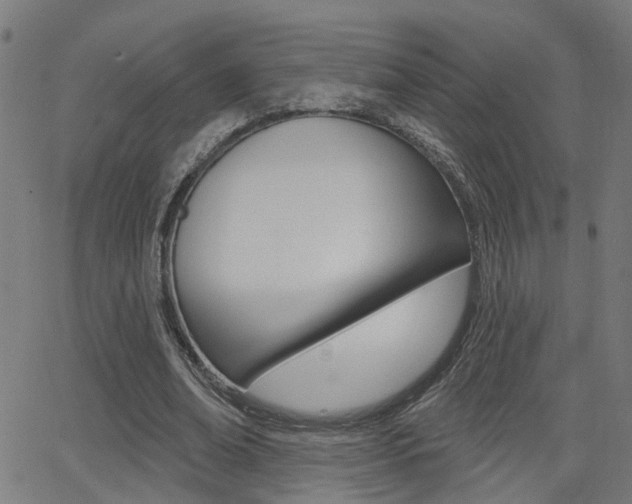X0000062910678200601131107