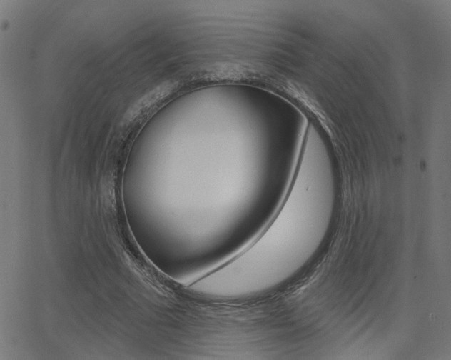 X0000062910681200601131107