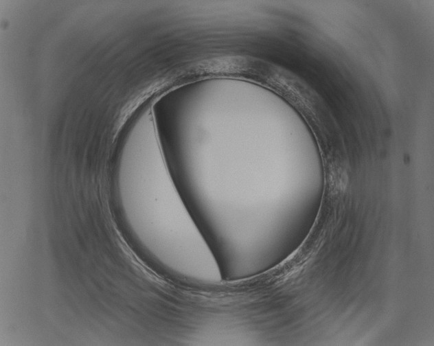 X0000062910725200601131105