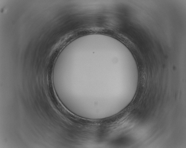 X0000062910734200601131105