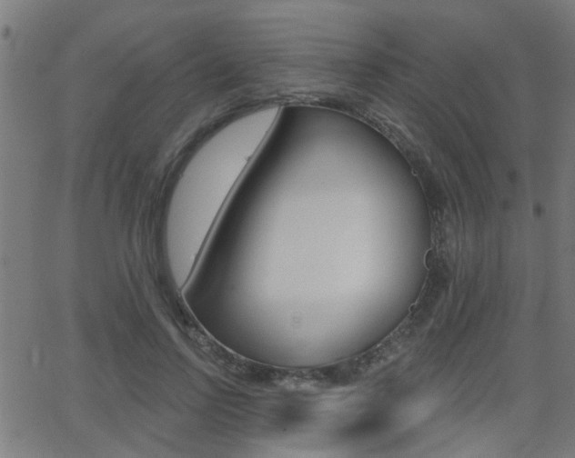 X0000062910742200601131106
