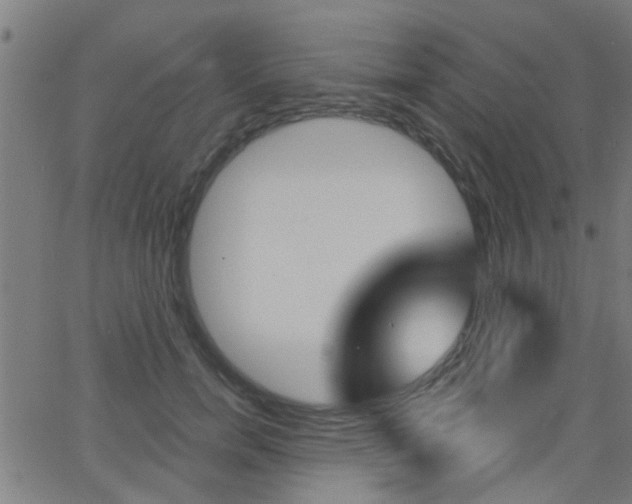 X0000062910750200601131106