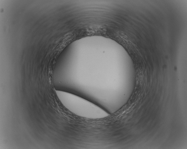 X0000062910770200601131105