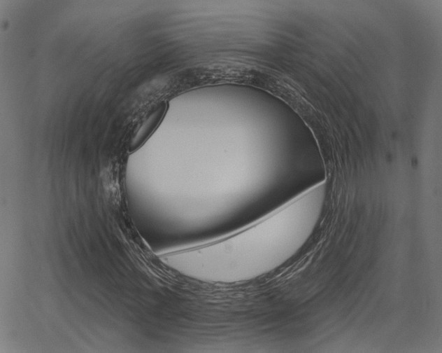 X0000062910771200601131105