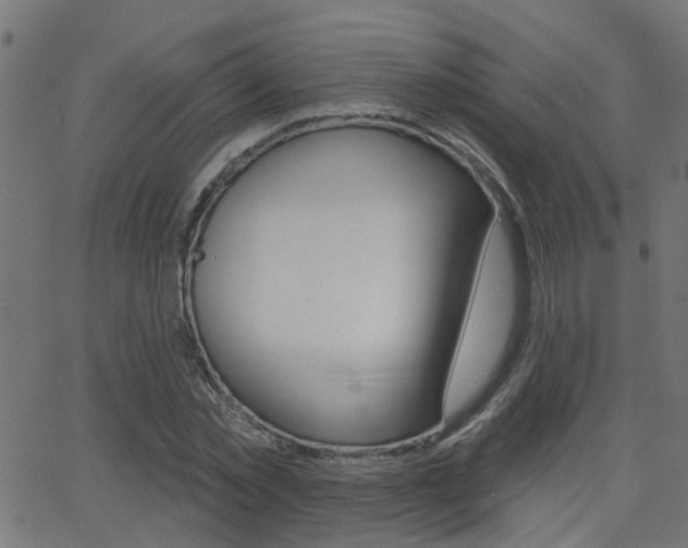 X0000062910781200601131105