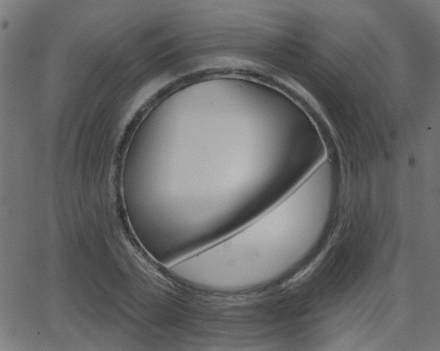 X0000062910783200601131105