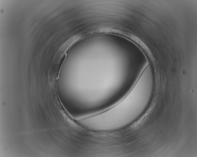 X0000062910801200601131105