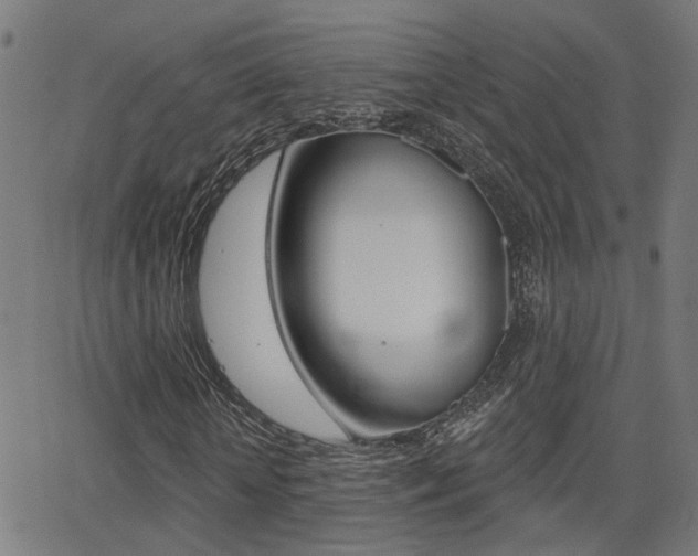 X0000062910818200601131104