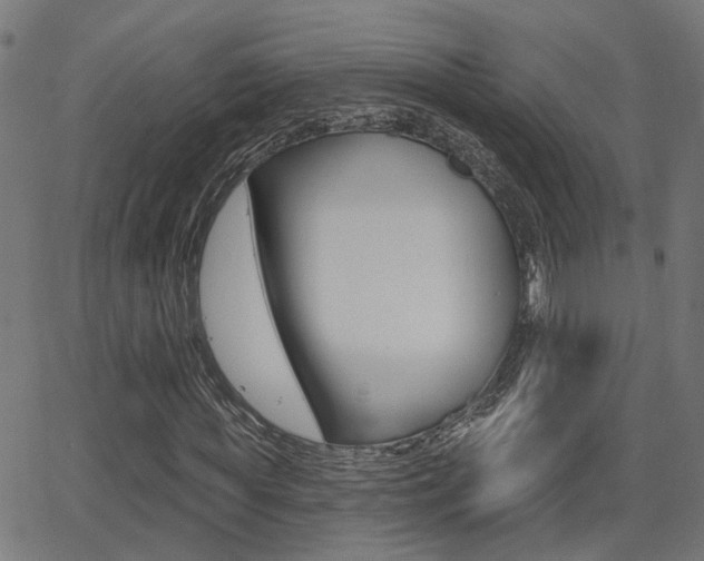 X0000062910819200601131104