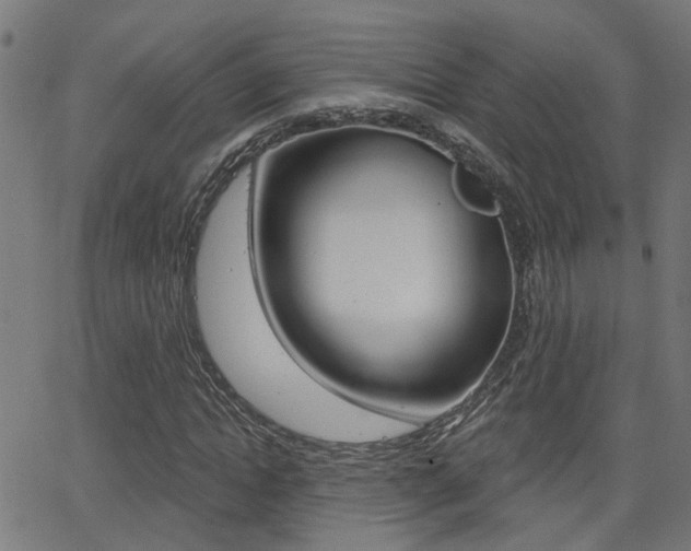 X0000062910822200601131104