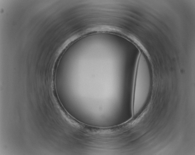 X0000062910845200601131104
