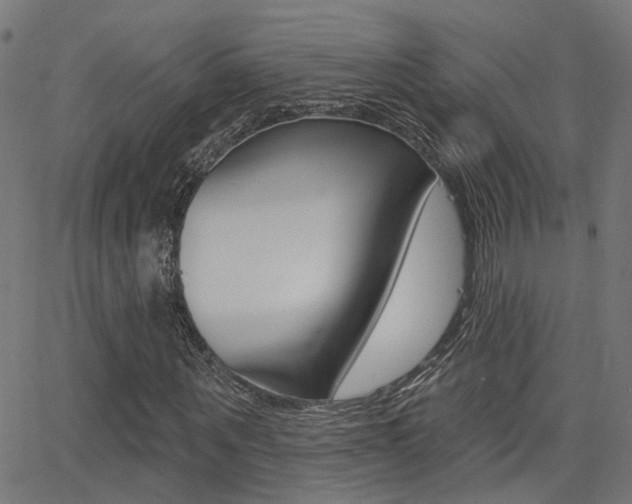 X0000062910867200601131104