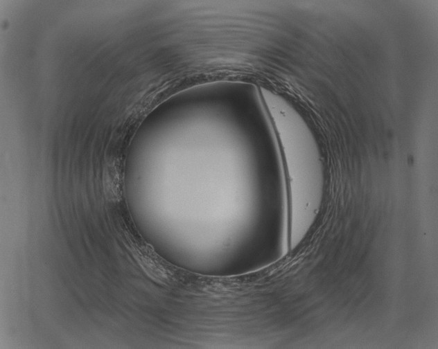 X0000062910868200601131103