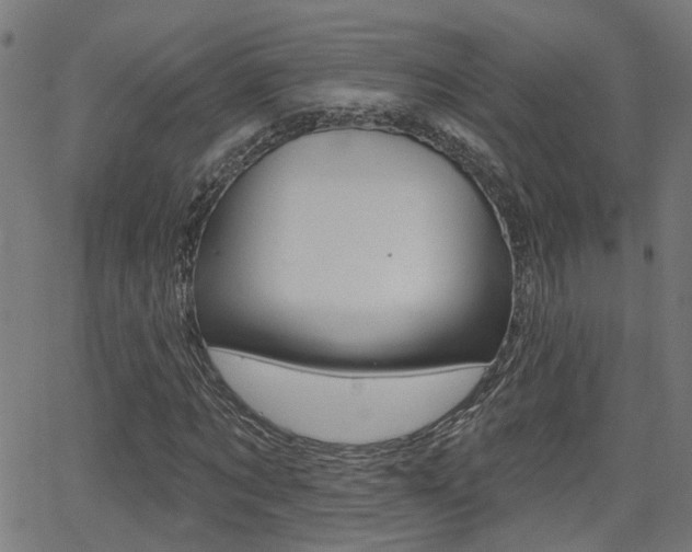X0000062910869200601131103