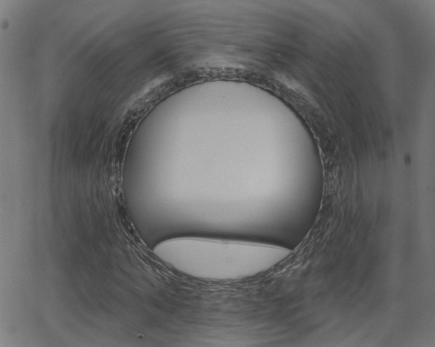 X0000062910870200601131103