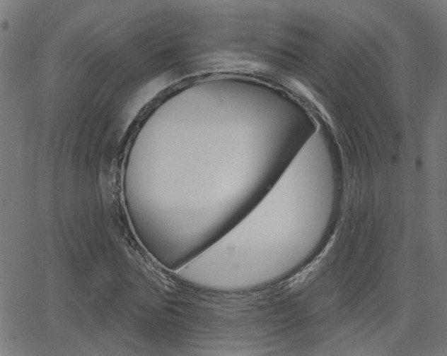 X0000062910875200601131103
