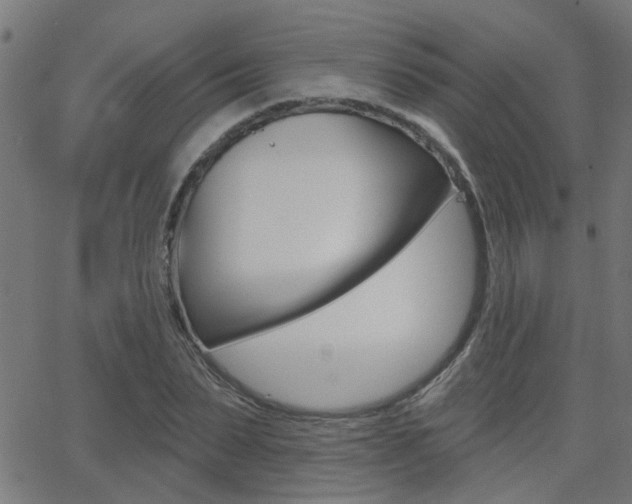 X0000062910879200601131103