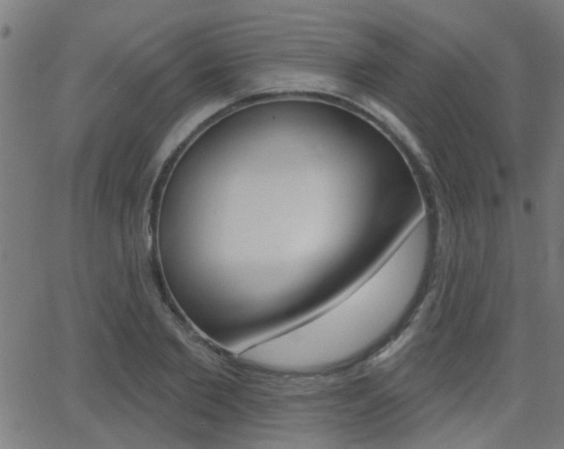 X0000062910885200601131103