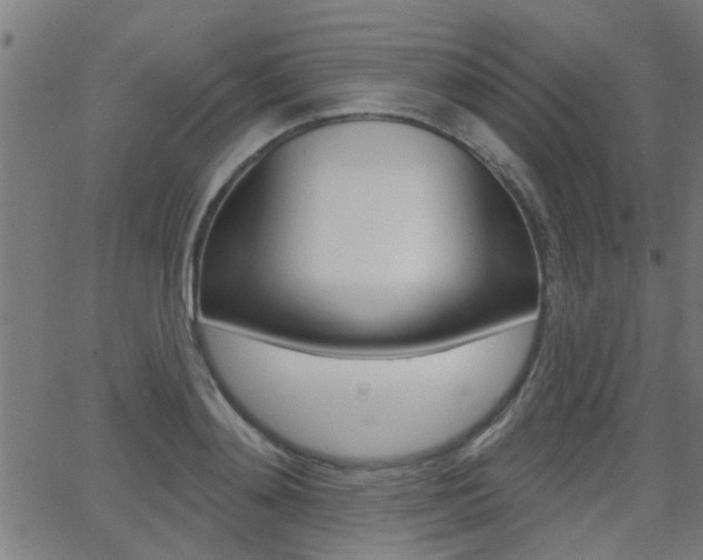 X0000062910892200601131103