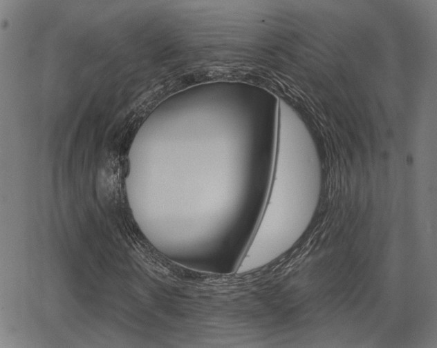 X0000062910914200601131102
