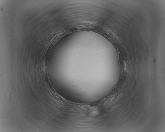 X0000062910915200601131102