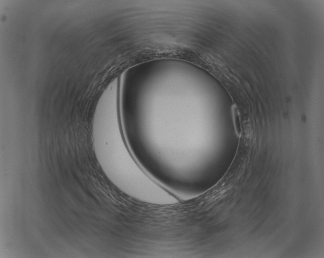 X0000062910916200601131102