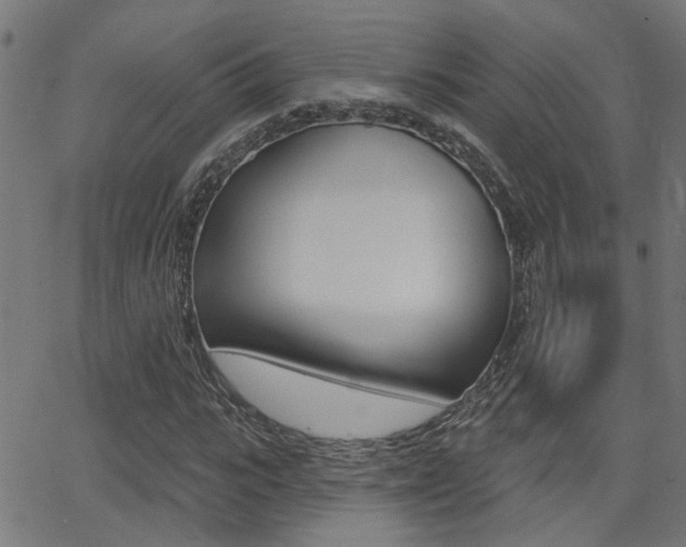 X0000062910919200601131102