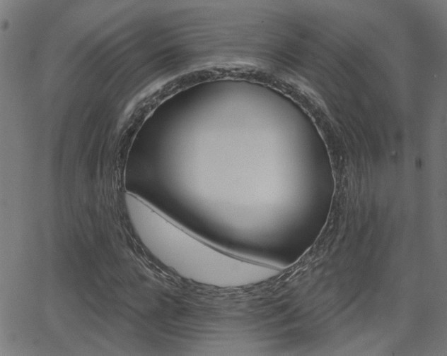 X0000062910920200601131102