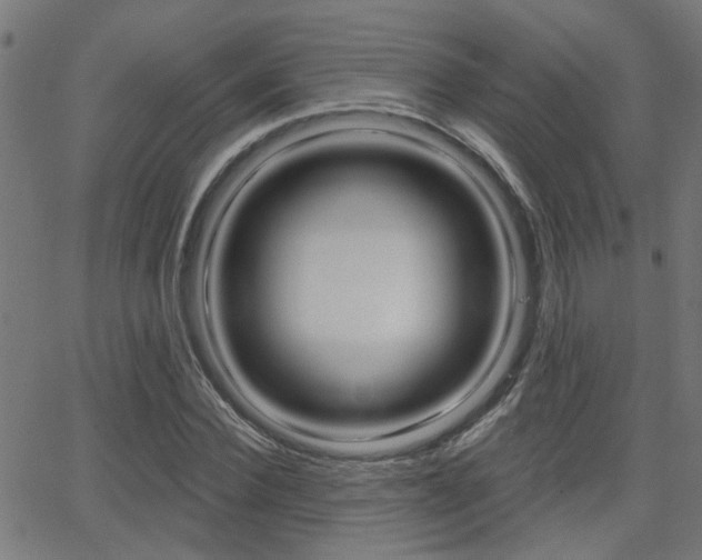 X0000062910924200601131102