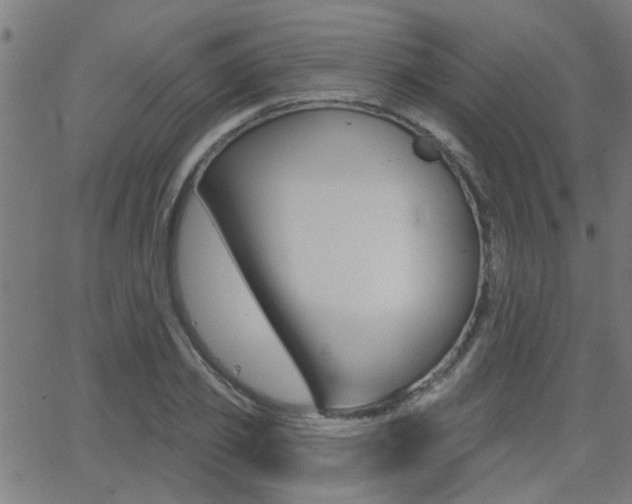 X0000062910933200601131102