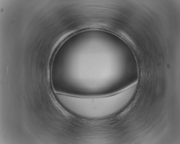 X0000062910940200601131102