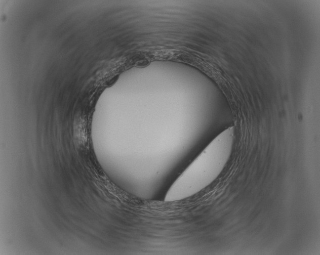 X0000062910962200601131102