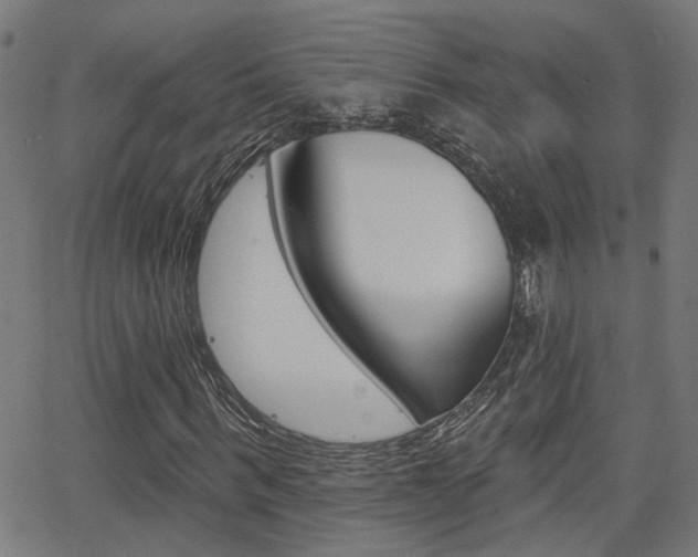 X0000062910963200601131102