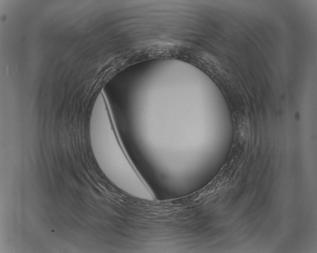 X0000062910964200601131102