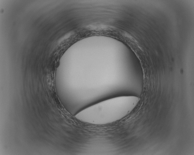 X0000062910966200601131102
