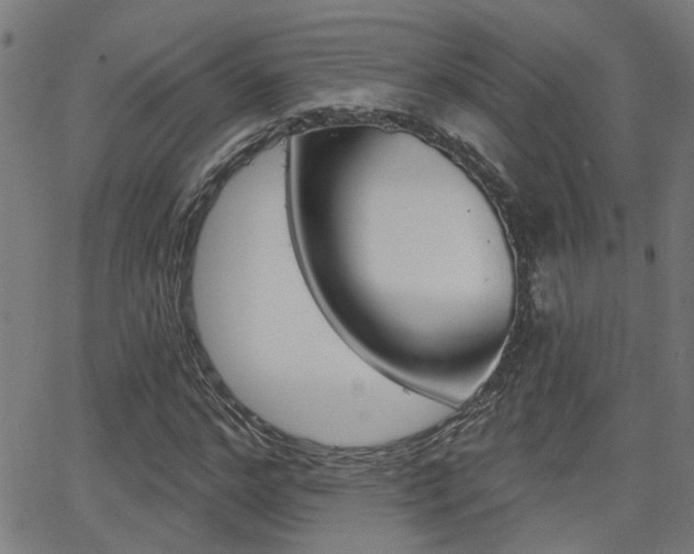 X0000062910968200601131102