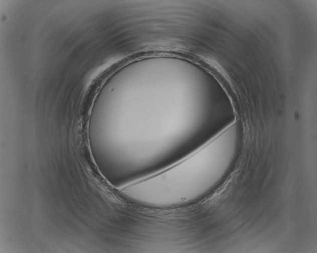 X0000062910971200601131102
